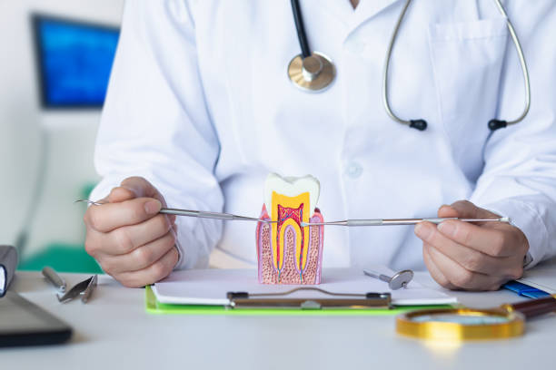 Best Pediatric Emergency Dentist in Aquebogue, NY